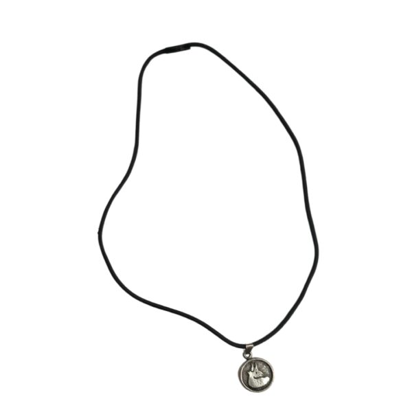 COLAR DE SIGNO - MEDALINHA