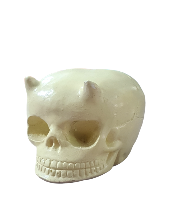ESCULTURA DIABO - CRANIO - GESSO