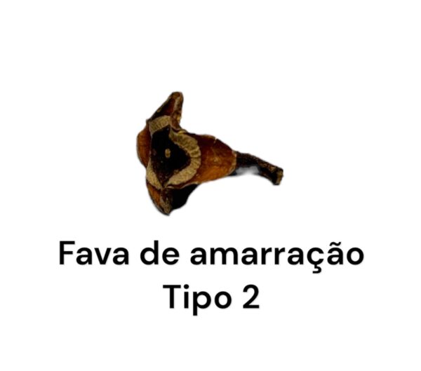 FAVA DA AMARRAÇÃO TIPO 2