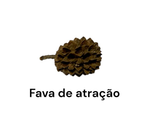 FAVA DE ATRAÇÃO