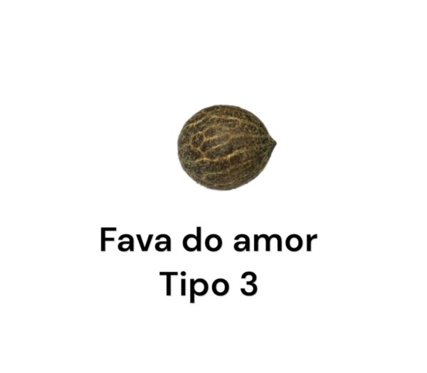 FAVA DO AMOR TIPO 3