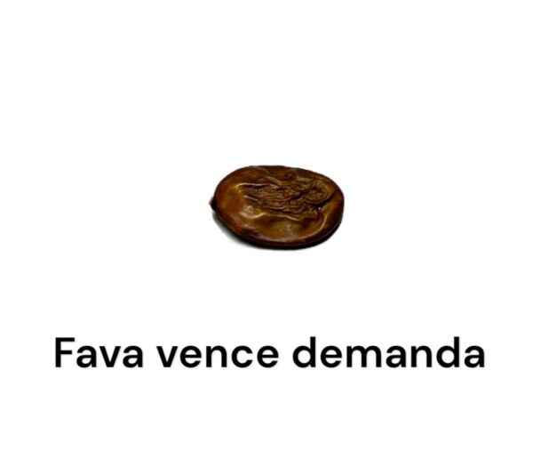 FAVA VENCE DEMANDA