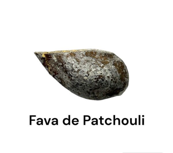 FAVA DE PATCHOULI