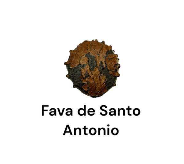 FAVA SANTO INACIO