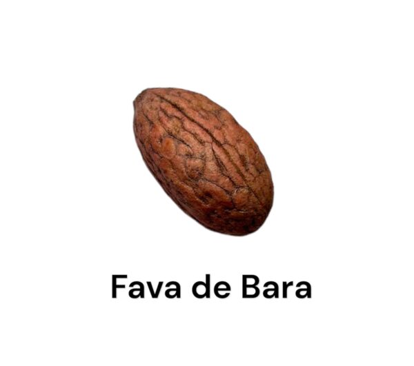 FAVA DE BARA