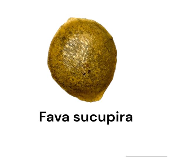 FAVA SUCUPIRA