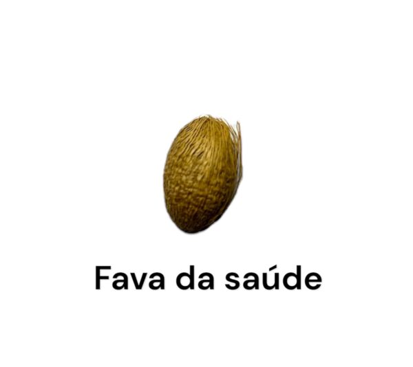 FAVA DA SAÚDE