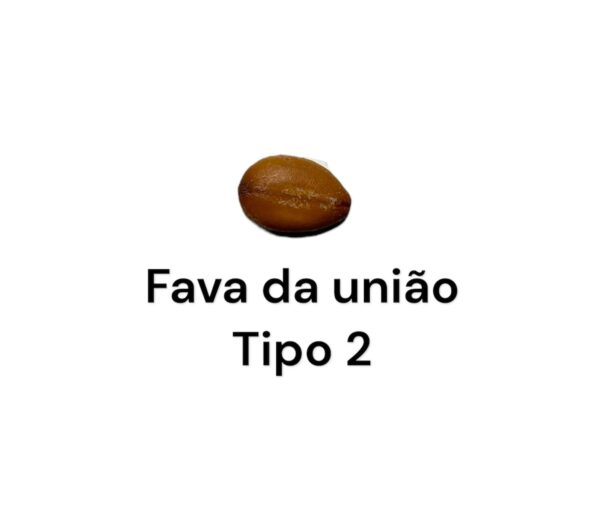 FAVA UNIÃO TIPO 2