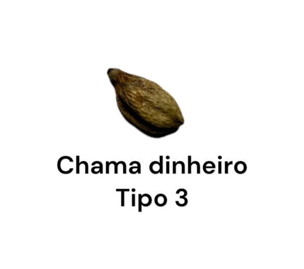 FAVA CHAMA DINHEIRO TIPO 3